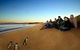 Phillip Island Nature Parks - thumb 7