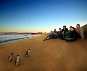 Phillip Island Nature Parks - Accommodation Rockhampton 7