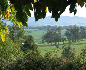 Brandy Creek Wines & View Cafe - Accommodation Rockhampton 5