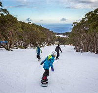Mt Baw Baw Alpine Resort - Accommodation Rockhampton