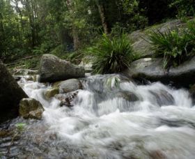 Washpool National Park - Accommodation Rockhampton 0