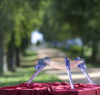 Lillico Glass Studio - Accommodation Rockhampton