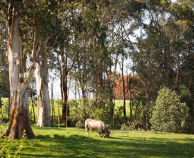 Ungulla Country Garden - Accommodation Rockhampton 8