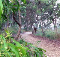 Mount Mutton Walking Trail - Accommodation Rockhampton