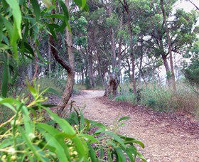 Mount Mutton Walking Trail - Accommodation Rockhampton 0