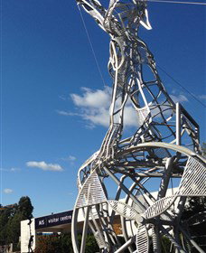 Australian Institute Of Sport (AIS) - Accommodation Rockhampton 0