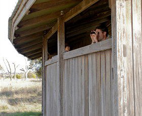 Dangars Lagoon And Racecourse Lagoon - Accommodation Rockhampton 3