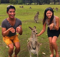 Runaway Tours - Accommodation Rockhampton