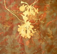 Fellia Melas Gallery - Accommodation Rockhampton