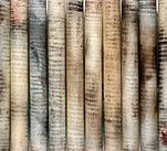 Kerrie Lowe Gallery - Accommodation Rockhampton 0