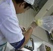 Fremantle Chocolate Pty ltd - Accommodation Rockhampton