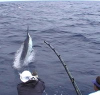 Amokura Charters - Accommodation Rockhampton