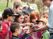 Blackbutt Reserve - Accommodation Rockhampton 2