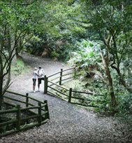 Blackbutt Reserve - Accommodation Rockhampton 3