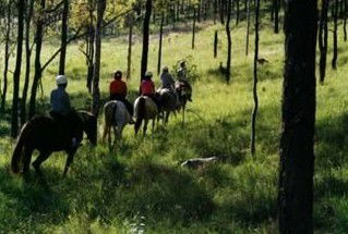 Windella NSW Accommodation Rockhampton