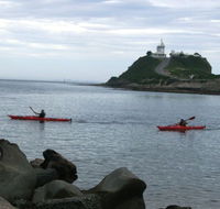 Newcastle Kayak Tours - Accommodation Rockhampton