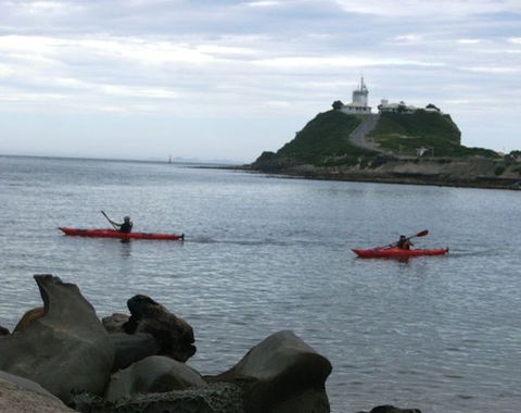 Newcastle Kayak Tours - Accommodation Rockhampton 0