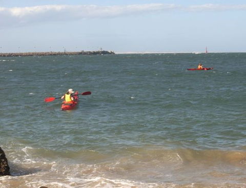 Newcastle Kayak Tours - Accommodation Rockhampton 1