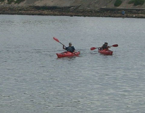 Newcastle Kayak Tours - Accommodation Rockhampton 4