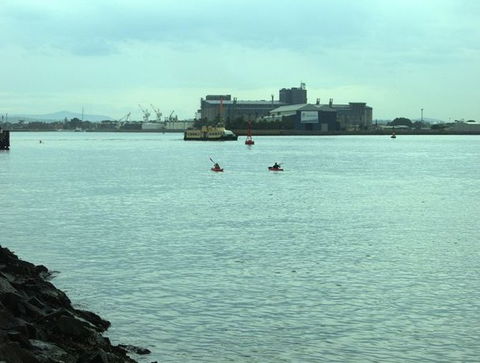 Newcastle Kayak Tours - Accommodation Rockhampton 5