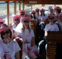 Newcastles Famous Tram - Accommodation Rockhampton