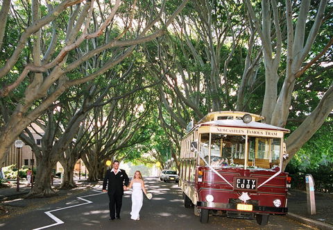 Newcastles Famous Tram - Accommodation Rockhampton 2