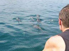 Tex Tours - Accommodation Rockhampton 3