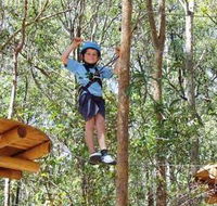 TreeTops Newcastle - Accommodation Rockhampton