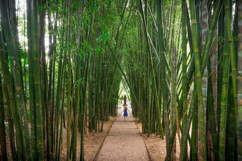 Crystal Castle & Shambhala Gardens - Accommodation Rockhampton 1