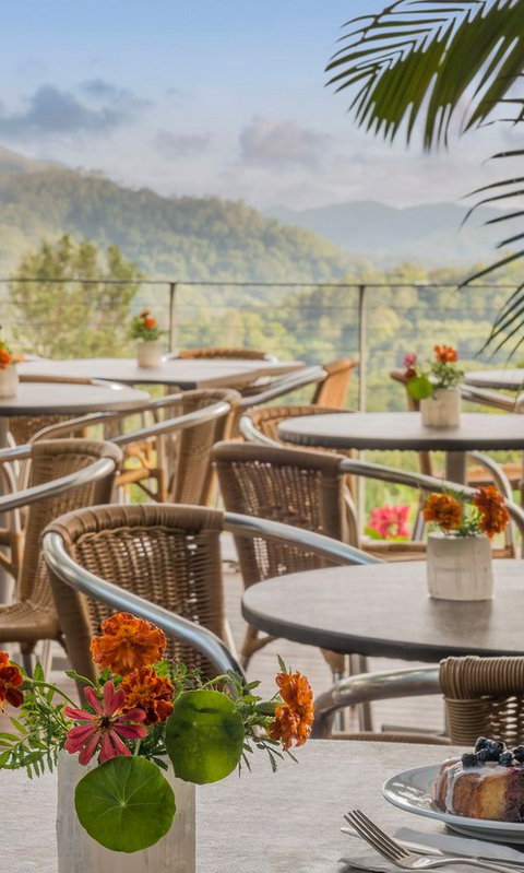 Crystal Castle & Shambhala Gardens - Accommodation Rockhampton 2