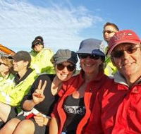 Byron Bay Whale Watching - Accommodation Rockhampton