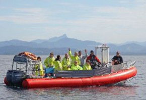 Byron Bay Whale Watching - Accommodation Rockhampton 2