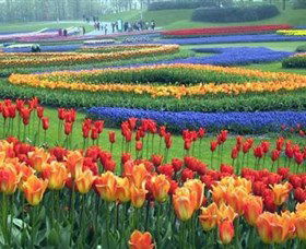 Botanica World Discoveries - Accommodation Rockhampton 0