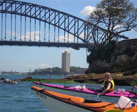 Natural Wanders - Accommodation Rockhampton 3