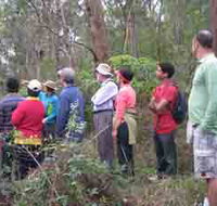 Boronia Tours - Accommodation Rockhampton