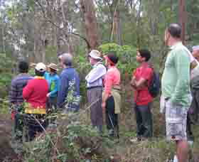 Boronia Tours - Accommodation Rockhampton 0