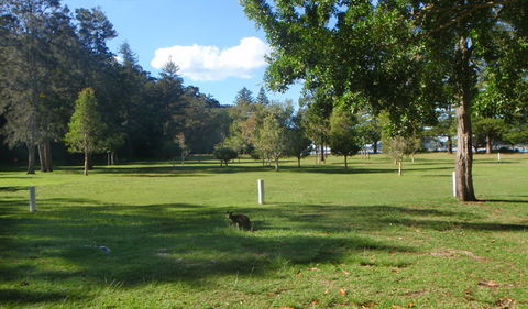 The Basin Picnic Area - Accommodation Rockhampton 1