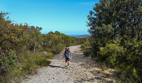 Aboriginal Heritage Walk - Accommodation Rockhampton 3