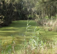 Second Ponds Creek walk - Accommodation Rockhampton