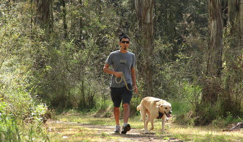 Second Ponds Creek Walk - Accommodation Rockhampton 3