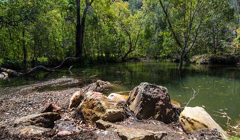 Marramarra National Park - Accommodation Rockhampton 3