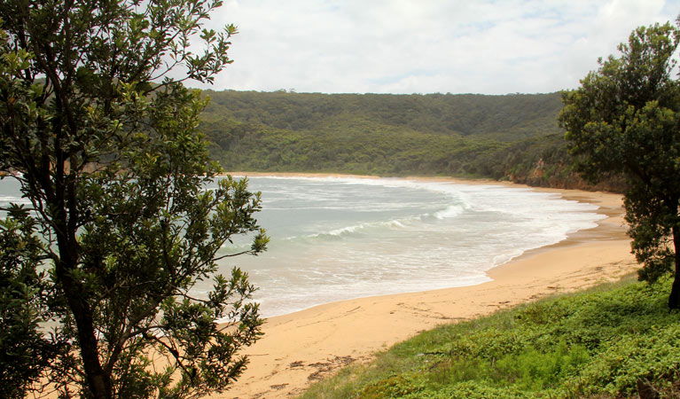 Bouddi NSW Accommodation Rockhampton