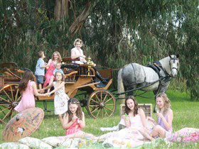 Classic Carriage Drives - Accommodation Rockhampton 1