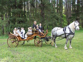 Classic Carriage Drives - Accommodation Rockhampton 0