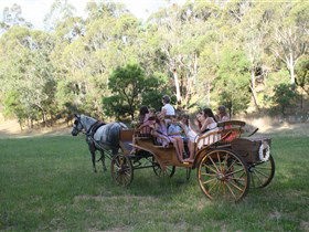 Classic Carriage Drives - Accommodation Rockhampton 3
