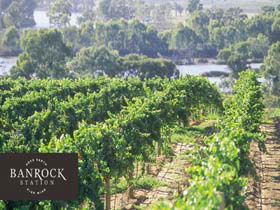 Banrock Station Wine And Wetland Centre - Accommodation Rockhampton 0