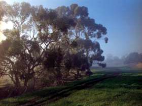 Island Pure Sheep Dairy And Cheese Factory - Accommodation Rockhampton 2