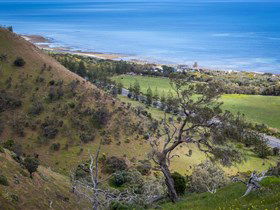 Lady Bay Beach - Accommodation Rockhampton 1