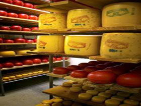 Alexandrina Cheese Company - Accommodation Rockhampton 0