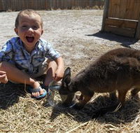 Animal Farm Goolwa - Accommodation Rockhampton